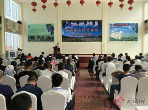 云南建水举办全国冬葡萄技术交流暨观摩会 引领产业发展新方向