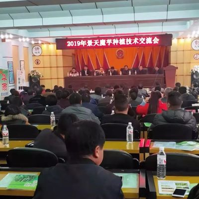 2019年8月魔芋种植技术培训交流会报名啦!